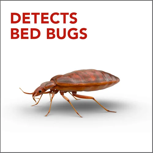 Miniatura 3 de Raid Detector y trampa de chinches de cama, para uso en interiores, 4