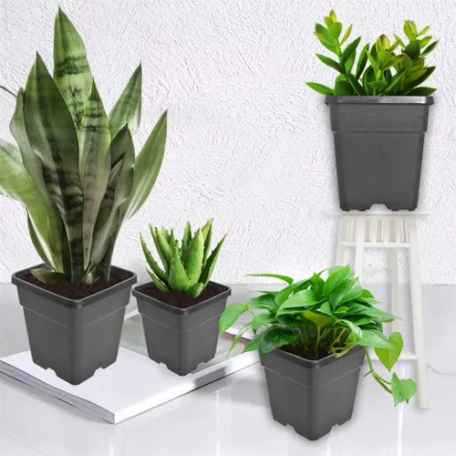 Miniatura 6 de Macetas cuadradas para vivero, macetas de cultivo para plantas de suelo, 0.63 galones, 10