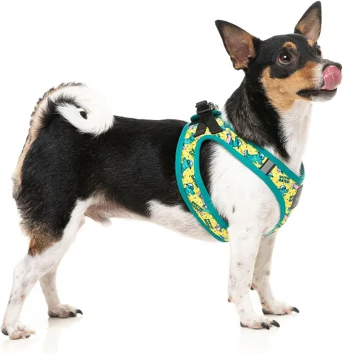 Miniatura 3 de FuzzYard Sk8ter Gator Rad - Arnés para perros (extra pequeño)