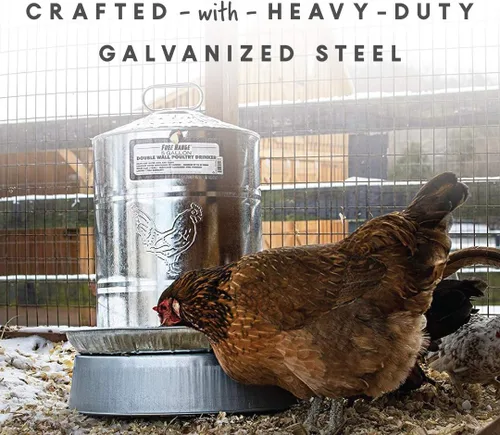 Miniatura 2 de Bebedero para aves de corral Harris Farms, doble pared, Plateado