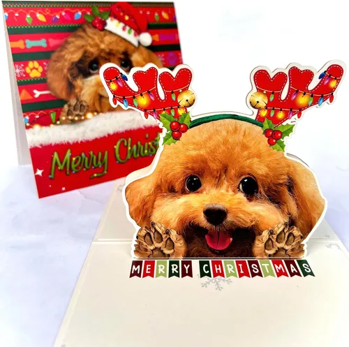 Miniatura 42 de Tarjeta de cumpleaños de perro Beagle 3D emergente – Felicitación de feliz cumpleaños para los amantes de los perros – Tarjeta desplegable