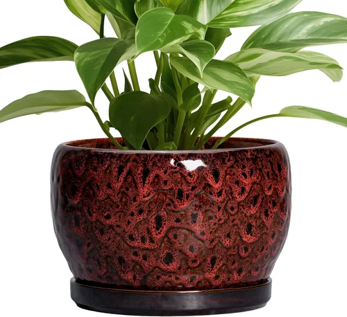 Miniatura 72 de SQOWL Maceta de cerámica para plantas - Maceta de cerámica de 6 pulgadas para interiores y exteriores, maceta decorativa para plantas con orificio