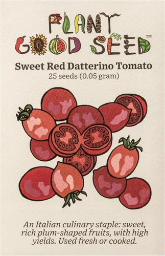 Miniatura 13 de Plant Good Seed Semillas de tomate orgánicas Sasha's Altai – Paquete de 50, semillas tradicionales para plantar verduras – Suministros