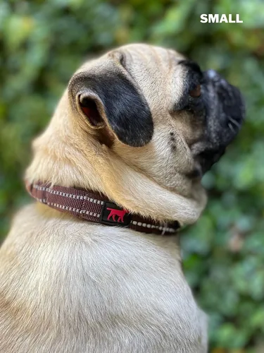 Miniatura 9 de Tuff Pupper Collar de perro resistente con asa Collar de nailon balístico resistente Collar de perro reflectante acolchado con hardware