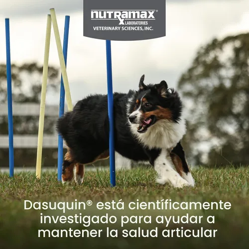 Miniatura 2 de Nutramax Dasuquin para perros grandes, suplemento para la salud de las articulaciones, contiene glucosamina para perros, además de condroitina, ASU