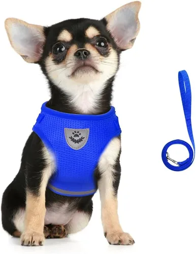 Miniatura 14 de FEimaX Juego de arnés y correa para perro, malla suave ajustable, de fácil control, chaleco ligero para gatos con tiras reflectantes, a prueba