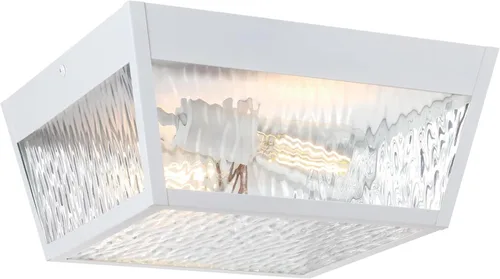 Westinghouse Peterson - Lámpara de techo de montaje en superficie para exteriores, de 12 pulgadas, acabado blanco mate con vidrio de agua