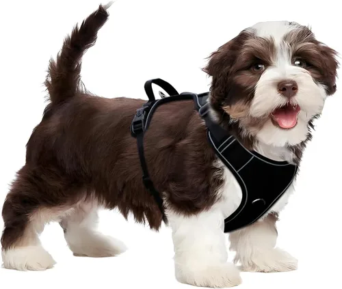 Arnés para perro sin tirones con soporte para Airtag para perros de tamaño mediano, ajustable, a prueba de escapes, sin estrangulamiento y chaleco