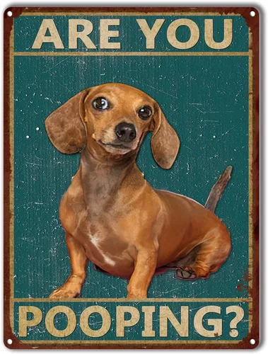 Miniatura 11 de LIUAXICIA Letreros divertidos de hojalata con texto en inglés "Dog are You Pooping", decoración de pared para baño, baño, decoración para amantes