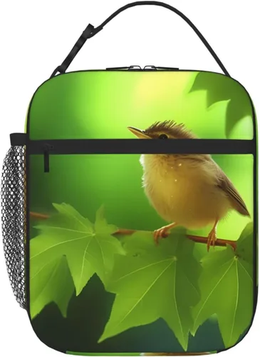 Miniatura 11 de Lonchera con aislamiento para mujer, bolsa de almuerzo con diseño de arco iris y orgullo gay para el trabajo, picnic, portátil