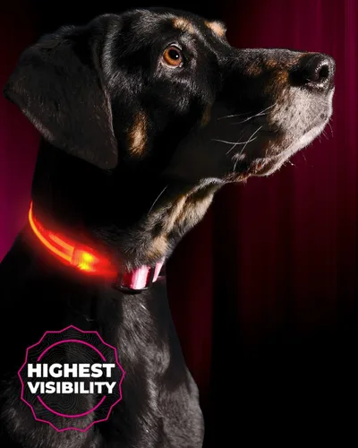 Miniatura 9 de Collar para perros LED Illumiseen, recargable por USB, Anaranjado encendido