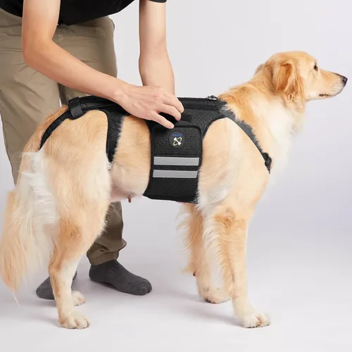 Miniatura 7 de Coodeo Soporte de espalda para perros para artritis, soporte de espalda para mascotas para IVDD, protector de espalda ayuda a aliviar el dolor, Negro