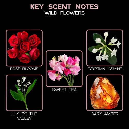 Miniatura 9 de Wild Flowers - Recambio de aceite difusor de varillas con varillas de repuesto Mezcla floral de rosa, jazmín egipcio, guisante dulce, lirio