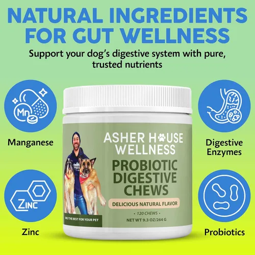 Miniatura 6 de Suplemento masticable digestivo probiótico para perros