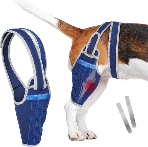 Rodillera para perro para pierna trasera desgarrada del ligamento cruzado anterior, soporte ajustable para pierna trasera con 2 estabilizadores, Azul