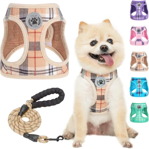 BEAUTYZOO - Juego de arnés y correa para perros y gatos pequeños, extrapequeños y medianos, arnés tipo chaleco fácil de poner, antiasfixia,