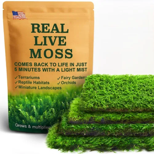 Miniatura 17 de Real Live Moss - Paquete variado (cada uno de 3.5 x 7 pulgadas), musgo real decorativo para terrarios, mini jardines, plantas en maceta y bonsái