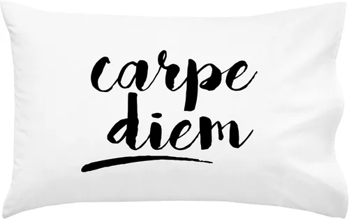 Miniatura 11 de Oh, Susannah Carpe Diem - Funda de almohada cursiva de 18 x 18 pulgadas, fundas de almohada inspiradoras doradas