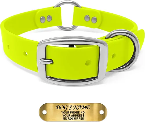 Miniatura 15 de Regal Dog Products Collar de Perro Naranja Mediano con Placa de Nombre Grabada Personalizada - Ajuste Personalizado, Resistente, Fácil de Limpiar