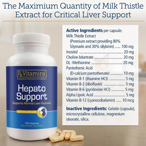 Miniatura 6 de Rx Vitamins Hepato Support para perros y gatos - Suplemento de apoyo hepático con cardo mariano para perros y gatos - Suplemento hepático