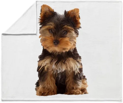 Miniatura 4 de CafePress Yorkie - Manta de forro polar súper suave, 60 x 50 pulgadas