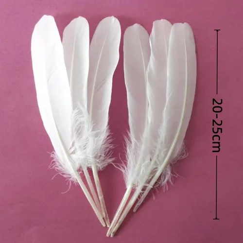 Miniatura 2 de GOODIY 22 plumas largas naturales de 8-10 pulgadas (7.9-9.8 in), hermosas plumas de ganso blanco natural, plumas grandes bilaterales, plumas