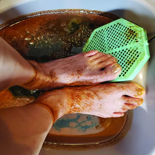 Miniatura 3 de Máquina de desintoxicación de iones iónicos Chi para baño de pies Aqua Spa Cleanse con dos veces potente CS-900 Array (EUCALYPTUS)