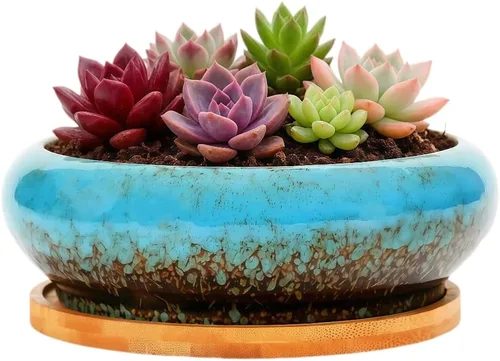 Miniatura 22 de Bonita maceta circular de cerámica para decoración del hogar y jardín, suculentas, cactus, maceta no incluida (azul, 3.19 pulgadas)
