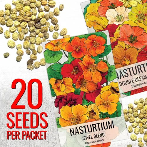 Miniatura 2 de Seed Needs - Semillas de Capuchina para Plantar Flores Comestibles - Juego de Colección de Mezcla Joya y Capuchinas de Doble Brillo para Atraer