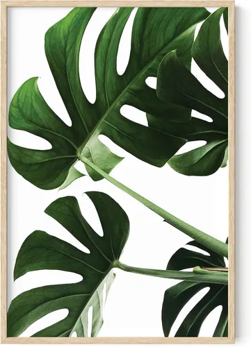 Miniatura 12 de HAUS AND HUES Arte botánico para pared, impresiones suculentas, póster moderno de plantas con diseño de invernadero para decoración del hogar