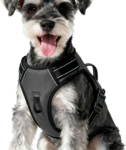 Miniatura 74 de Arnés para perro sin tirones, chaleco reflectante ajustable y acolchado para mascotas con asa de fácil control, fácil de llevar con nudo elegante