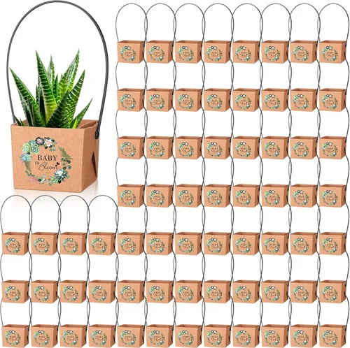 Aliceset 100 bolsas de regalo para suculentas con asa de plástico, caja de regalo de papel kraft, cesta de regalo para baby shower, boda, fiesta, no