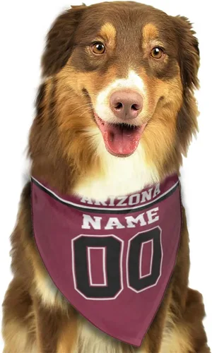 Miniatura 7 de Arizona - Bandana de fútbol para perro, diseño personalizado, número de nombre, regalos para gatos