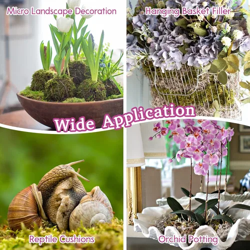 Miniatura 6 de Riare 1.1 libras de musgo esfagnum de alta calidad, plantas de turba de esfagnum largo natural, secado con musgo, plantas carnívoras mezcla
