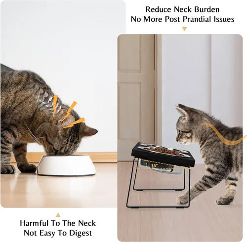 Miniatura 2 de Tazones elevados para comida y agua para gatos – Tazón elevado de acero inoxidable inclinado en 15° con soporte de bambú negro y estación