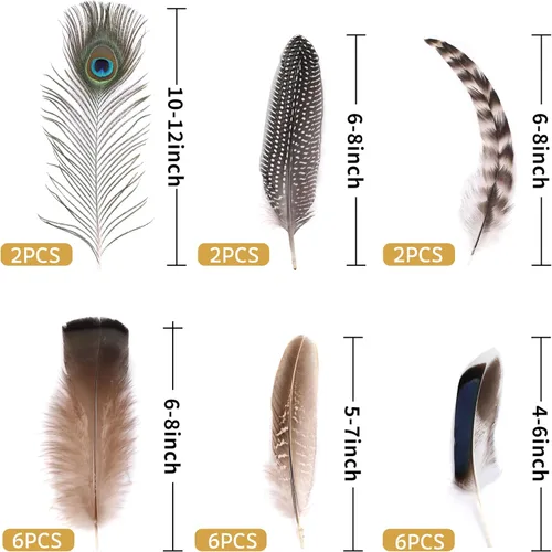 Miniatura 2 de Holmgren 24 piezas de plumas naturales al por mayor - 6 estilos surtidos de pavo real, faisán, pavo para manualidades, joyería DIY, sombreros