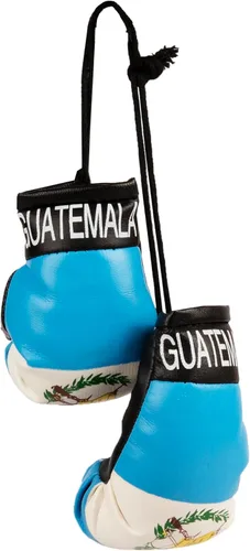 Miniatura 10 de SandT Collection Guantes de boxeo pequeños con bandera del país - Guantes de boxeo para colgar