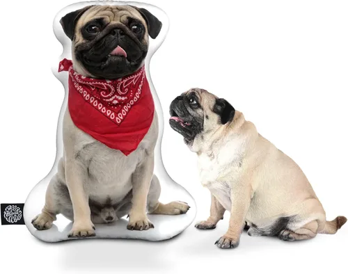 Funda de almohada personalizada All About Vibe - Funda para almohadón personalizada con forma 3D, el mejor regalo para dueños y amantes de pugs!