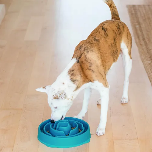 Miniatura 6 de Outward Hound Cuenco grande de alimentación lenta, laberinto de rompecabezas para comedores rápidos, perros medianos a grandes, ayuda a prevenir