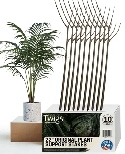 Miniatura 9 de Twigs GA - Estacas de soporte para plantas para uso en interiores y exteriores, alternativa duradera de enrejado para plantas trepadoras