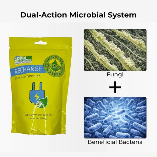 Miniatura 3 de Real Growers recarga - Superpack de microbios del suelo, estimulante natural para el crecimiento de plantas (2 oz) (RGR-2)