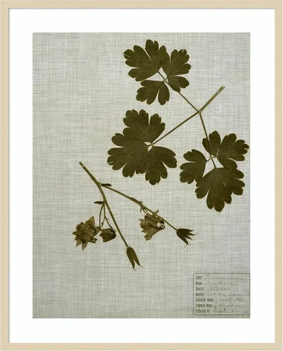 Miniatura 6 de Amanti Art Vision Studio - Lienzo decorativo para pared, 36 x 30 pulgadas, hojas prensadas en lino I por Vision Studio, arte de pared de naturaleza