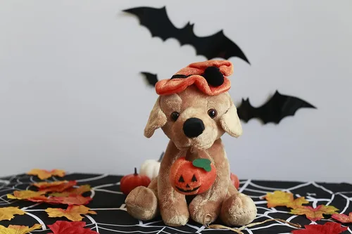 Miniatura 4 de Plushland Halloween Pawpals - Juguete de peluche de 8 pulgadas para cachorro, con sombrero y linterna Jack O Lantern de Halloween, calabaza