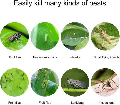Miniatura 3 de Trapro trampas adhesivas amarillas para insectos voladores, para mosquitos de los hongos, áfidos, moscas blancas, minadores, arañuelas y otros