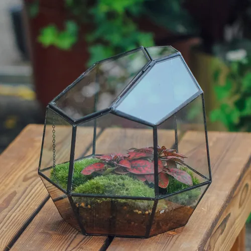 Miniatura 3 de NCYP Terrario geométrico cerrado pequeño hecho a mano de 7.5 pulgadas con puerta, maceta de vidrio irregular negro, maceta moderna para flores