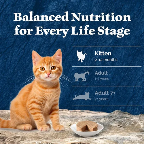 Miniatura 9 de Blue Buffalo Wilderness - Comida para gatitos, paquete variado de paté de comida húmeda para gatos con alto contenido de proteínas y sin granos