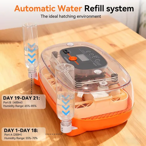 Miniatura 4 de Incubadoras para incubar huevos, incubadora de 24 huevos, girador automático de huevos con control de humedad y temperatura digital, día