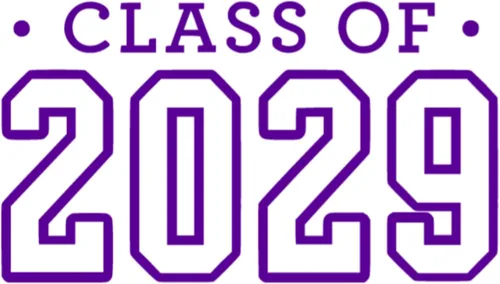 Miniatura 29 de Class of 2029 Iron On Decal, Senior Class Shirt Patch, Heat Transfer, HTV Graphic Tshirt Sticker, DIY Crafts, Pick Size Color, Iron-On Almost Old