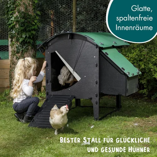 Miniatura 4 de Gallinero de plástico de 25 años de vida útil, gallinero pequeño para 3 pollos o 5 bantams Adecuado para gallinas grandes e ideal para pollos