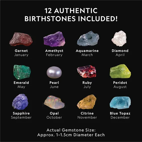 Miniatura 3 de Kit de excavación de piedras de nacimiento National Geographic - Kit de ciencia con 12 piedras de nacimiento genuinas, incluye un diamante real